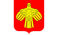 Чемпионат Республики Коми 2017