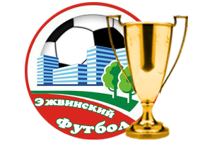 Кубок Эжвы 2016